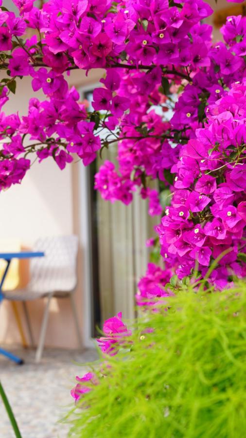Yelken Bungalov Bed & Breakfast Milas Dış mekan fotoğraf