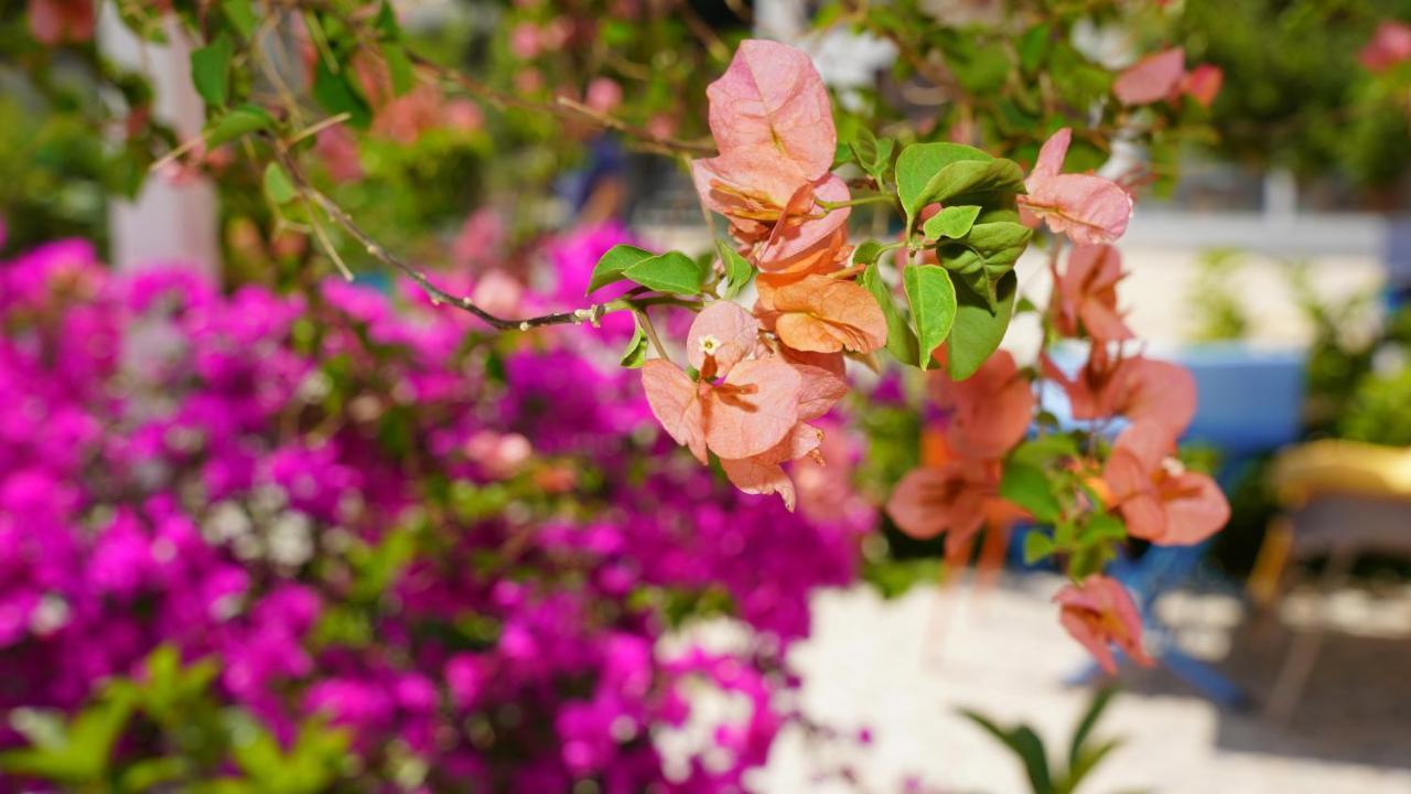 Yelken Bungalov Bed & Breakfast Milas Dış mekan fotoğraf